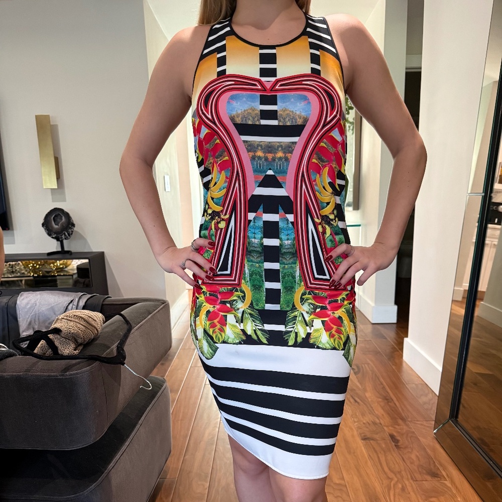 Clover Canyon Dress